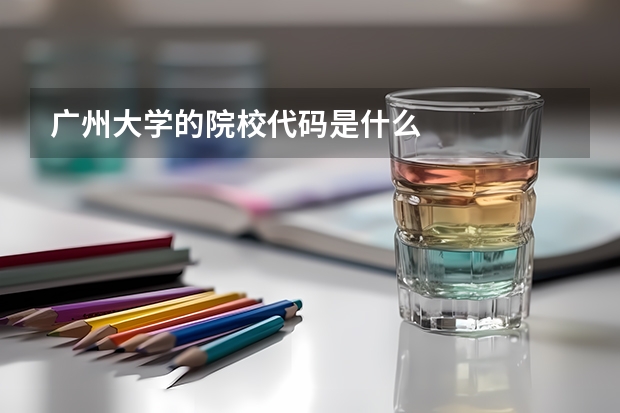 广州大学的院校代码是什么
