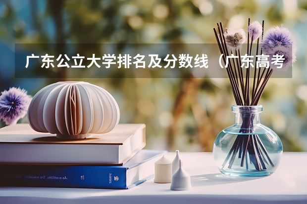 广东公立大学排名及分数线（广东高考物理类排名）