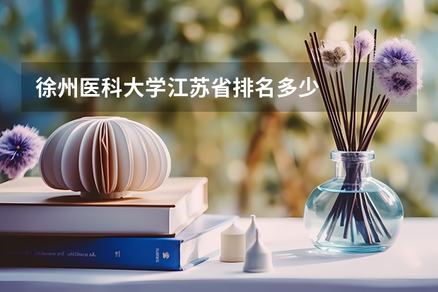 徐州医科大学江苏省排名多少
