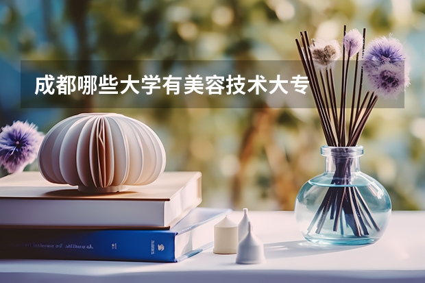 成都哪些大学有美容技术大专