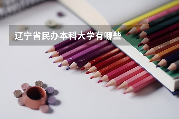 辽宁省民办本科大学有哪些
