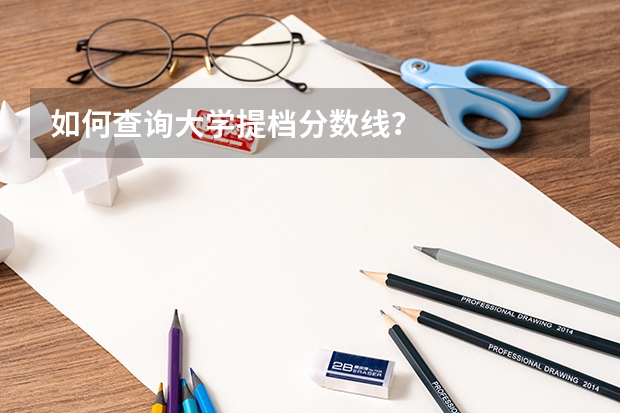 如何查询大学提档分数线？