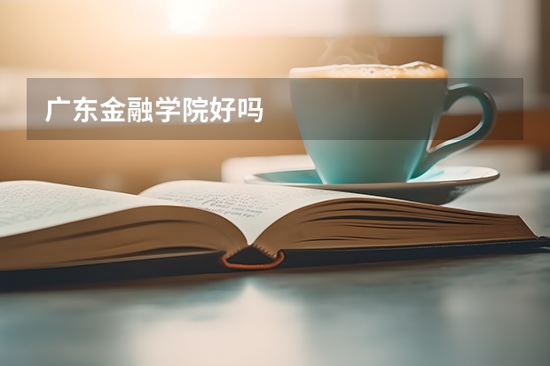广东金融学院好吗