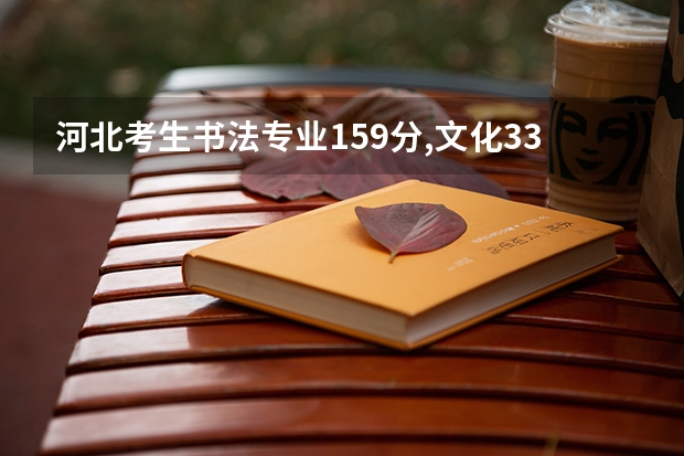 河北考生书法专业159分,文化330能报考什么学校